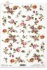 łąka, ogród, R096, flower, flowers, meadow, garden, roses, daisies, pansies, rosas, margaritas, pensamientos y nomeolvides, flores , Rosen, Gänseblümchen, Stiefmütterchen und Vergissmeinnicht, Blumen 